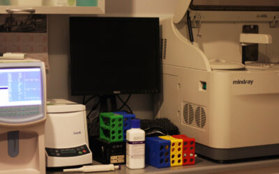 Badania krwi, moczu, kału i skóry