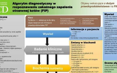 FIP: polskie narzędzie diagnostyczne ABCD już dostępne — oprac. lek. wet. Karolina Malińska