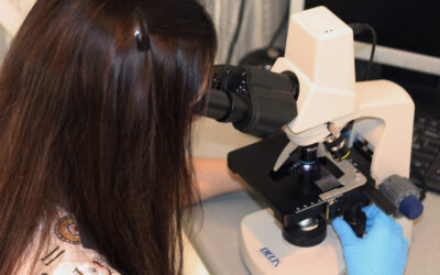 Cytologia guza u psa i kota – kiedy się ją robi, co pokazuje i co po wyniku?